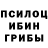 Галлюциногенные грибы Psilocybine cubensis Victor Marcos