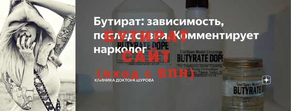 твердый Краснослободск