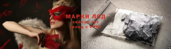 СК Кукмор