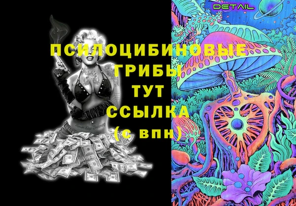 СК Кукмор