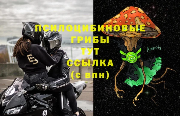 СК Кукмор
