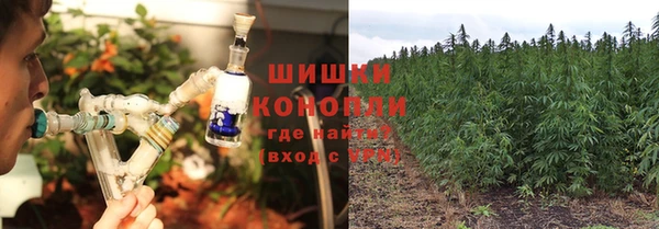СК Костерёво