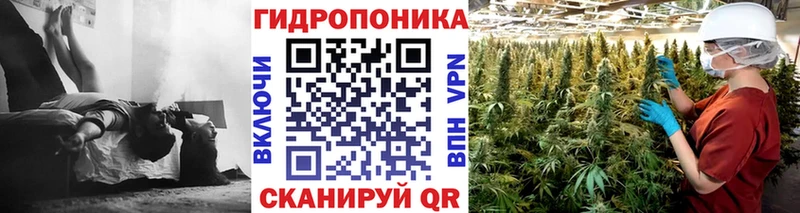 Шишки марихуана MAZAR  KRAKEN зеркало  Киселёвск  дарнет шоп 